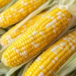 Microwave Corn on the Cob in Husk